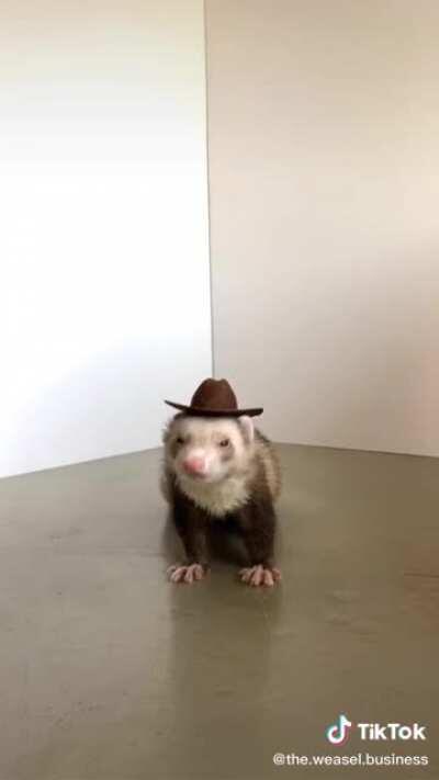 What in fuzzy tarnation?