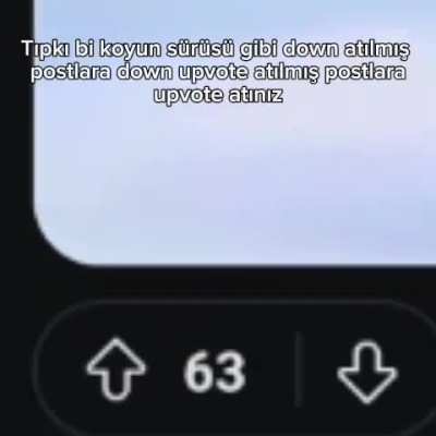 Amk newleri için rehber 1