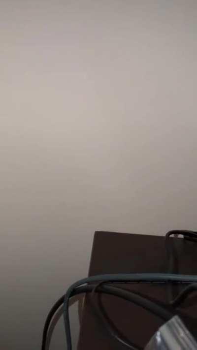 Tried to burn a spider with an egg sac full of babies