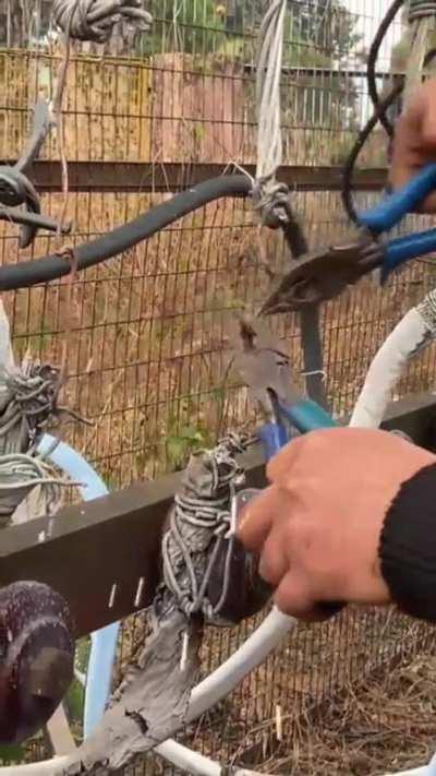 where is this taught?