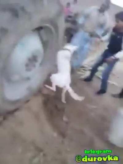 Meanwhile in Pakistan 🇵🇰