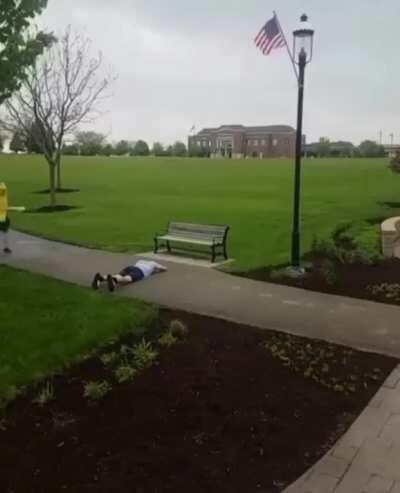 Finalmente plátano Torino 2