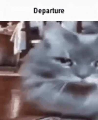 Departure