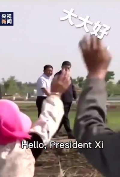 haha 93 percent approval rating go brrr