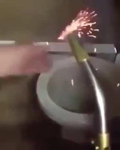 Snapper throws a cracker in the crapper