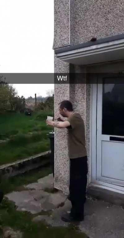 HMFT after i try to be a dragon