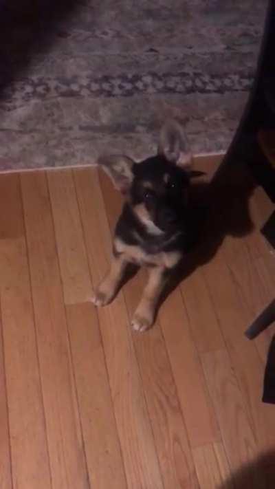 Thought this fit here