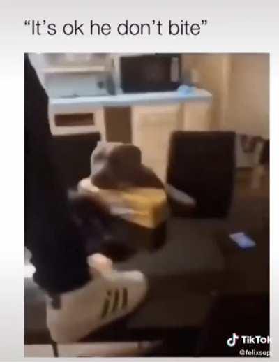 Oh wow he never does that, you must've had the scent of another dog on ya.