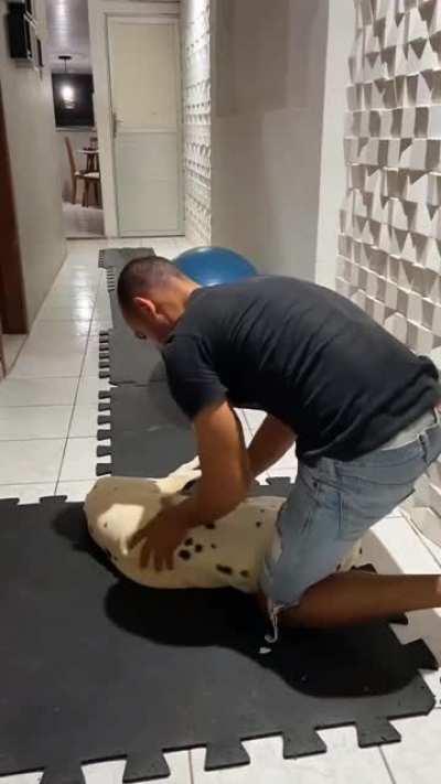 The best thing I've seen today