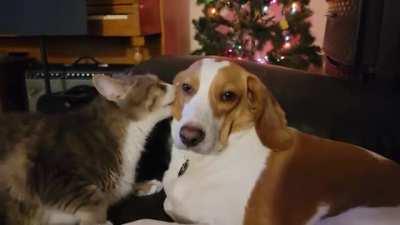 Любовь это...