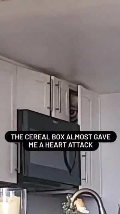 Cereal box