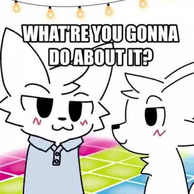 Where is the boykisser convention