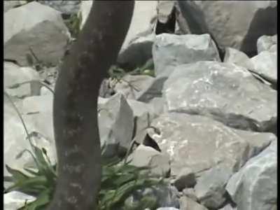 WTF!! And she does this for fun