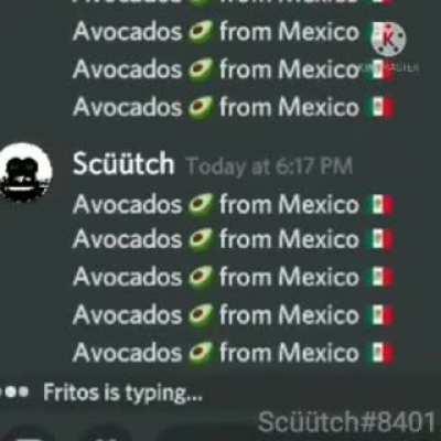 Aguacates 🥑 de Mexico