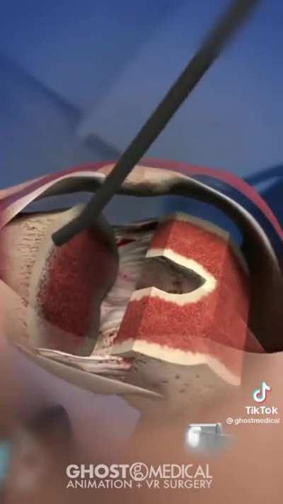 Educational Purposes Only