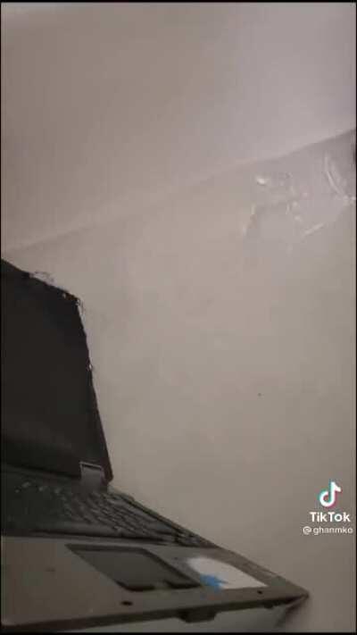 WCGW letting your kids free unsupervised.