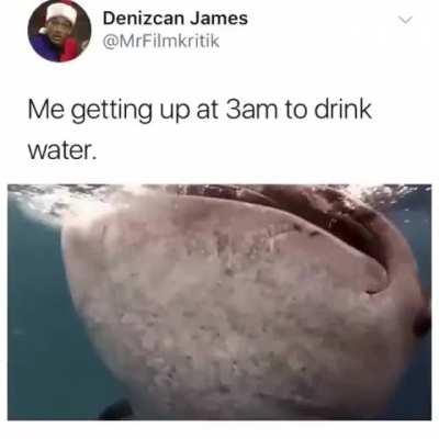 It do be like that my homies