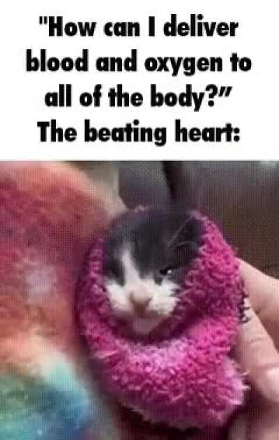 glppap APAAPPPALALAAAPAP