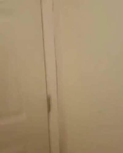 When Lolitary brands anyone who disagrees with them a pedo, and you ask for evidence.