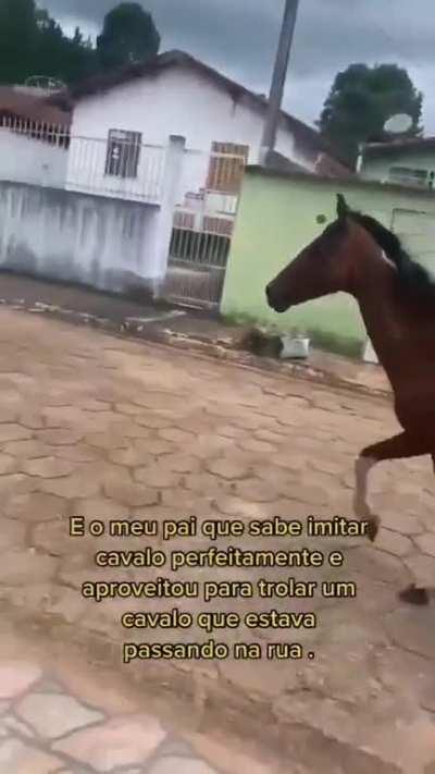 Triste dia pra ser um cavalo no cio