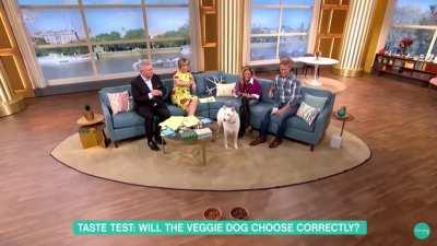 WCGW trying to prove that your dog is a vegetarian