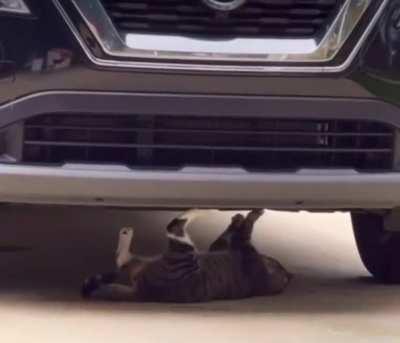 Anxiously Awaiting The Mecatnic To Catculate The Damages