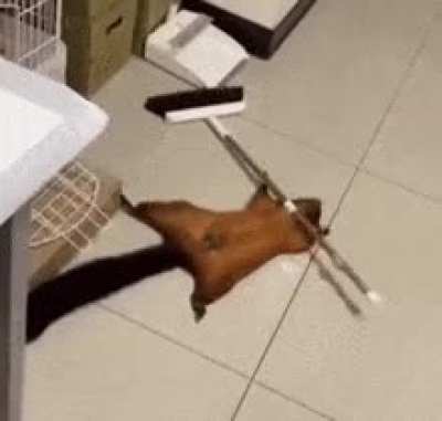 Suspects after getting a C2 blast to their face