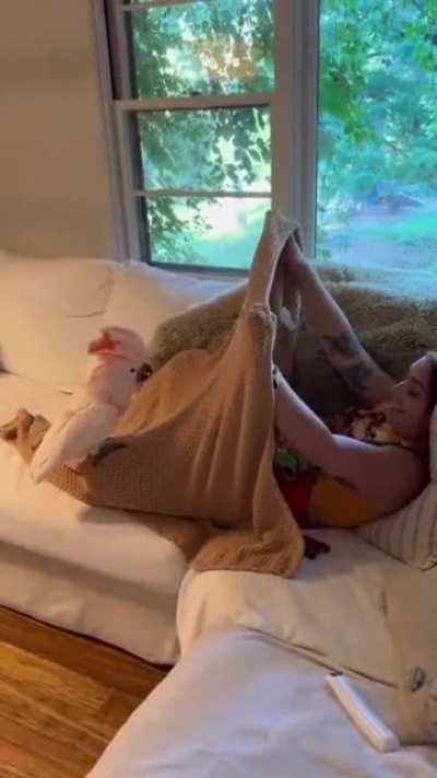 Peek A BOO! Birds playing.