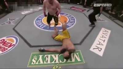 Schaub Fights Remastered