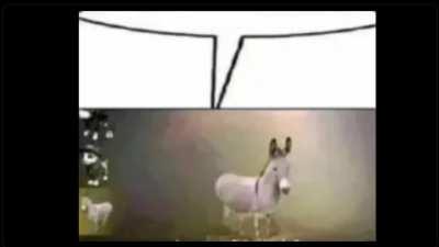 this what every westside gunn song sounds like