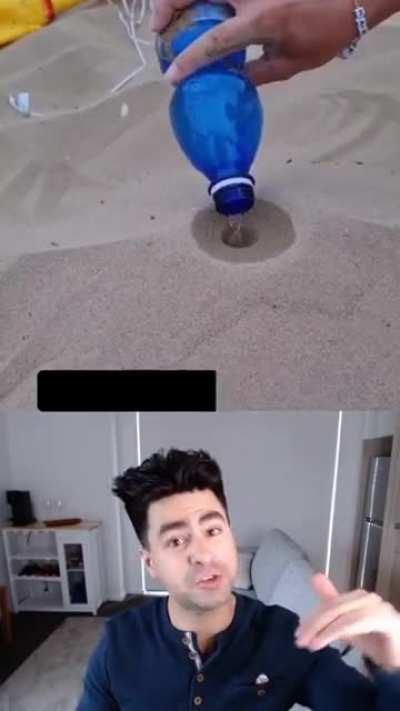 Disco de Meo : Playa Edition