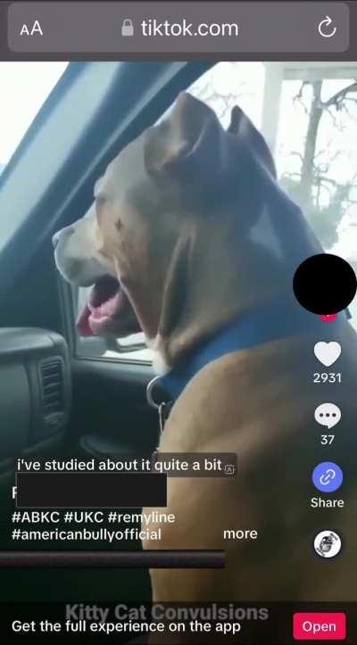 They think this is funny