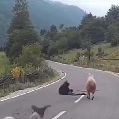 That face smash is going to leave a mark