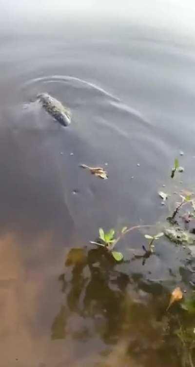 Crazy release on this girl