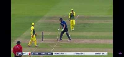 Matthew wade appealing for field obstruction
