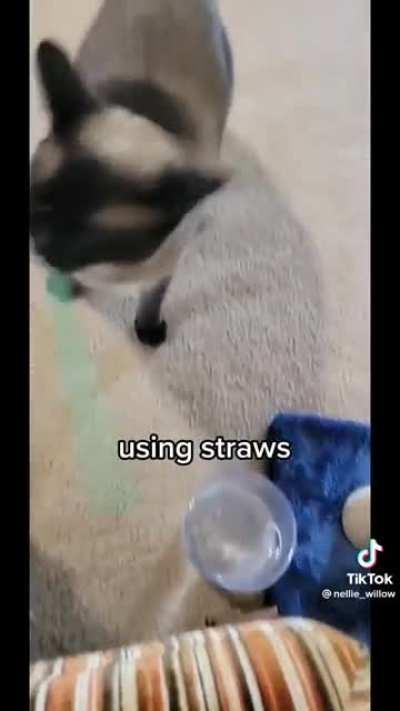 No one enjoys a beverage without my permission