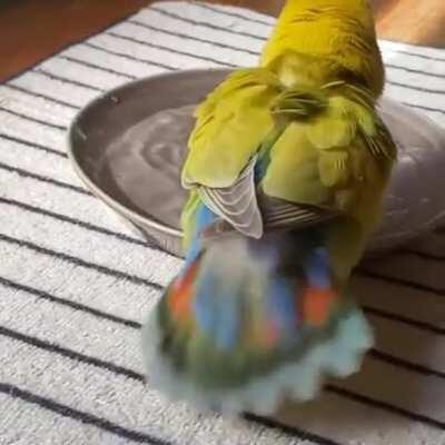 With no job and two kids to feed, Ashley had to resort to shaking her tail to make ends meet during these hard times