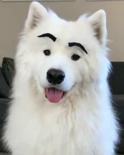 I think it suits me with eyebrows