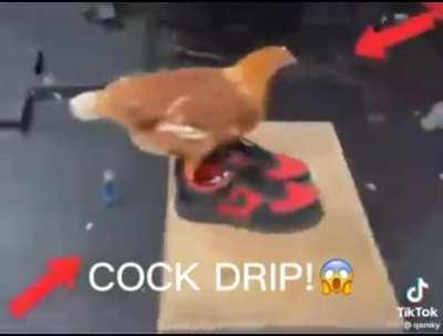 cock drip🐓👟=😱