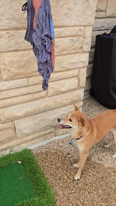 She hates water drops