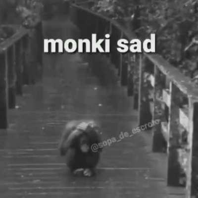 Monki sad :(