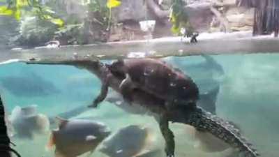 Mein Homie und ich auf dem Weg ins Wochenende