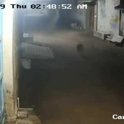 What you guys running from? Oh shit! Oh shit!