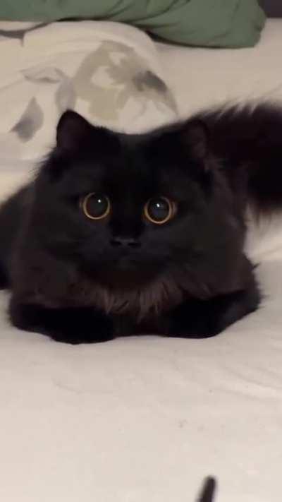 The eyes are quite beautiful, love 🌘👅🌒
