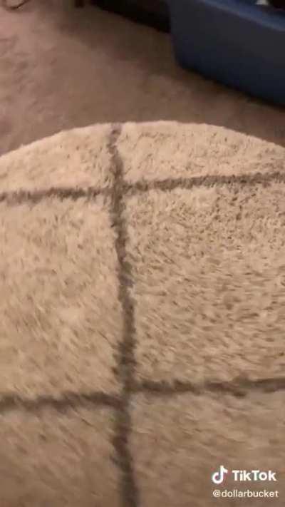 A perfectly cut tik tok