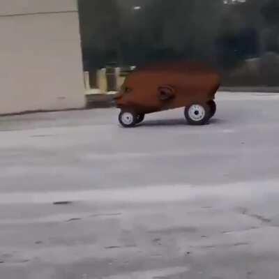 El video que quería el Cristián ayer