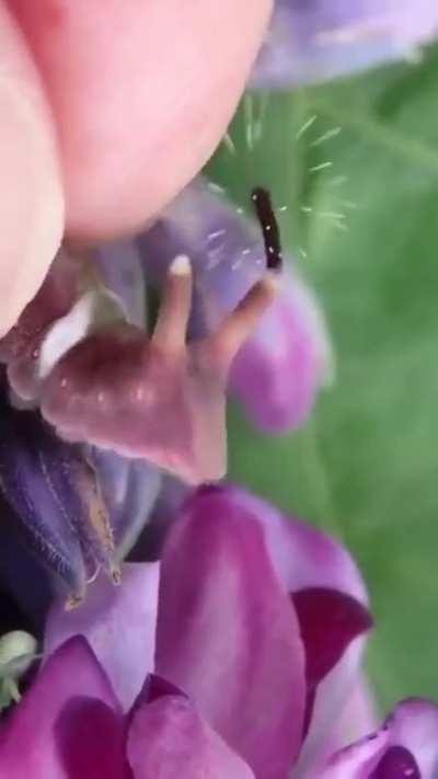 their kind of self-defense