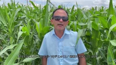 manueru caneta azuru 