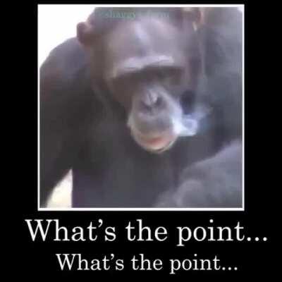 What’s the point...