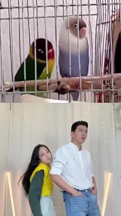 Credit- Kimpro828 on YT